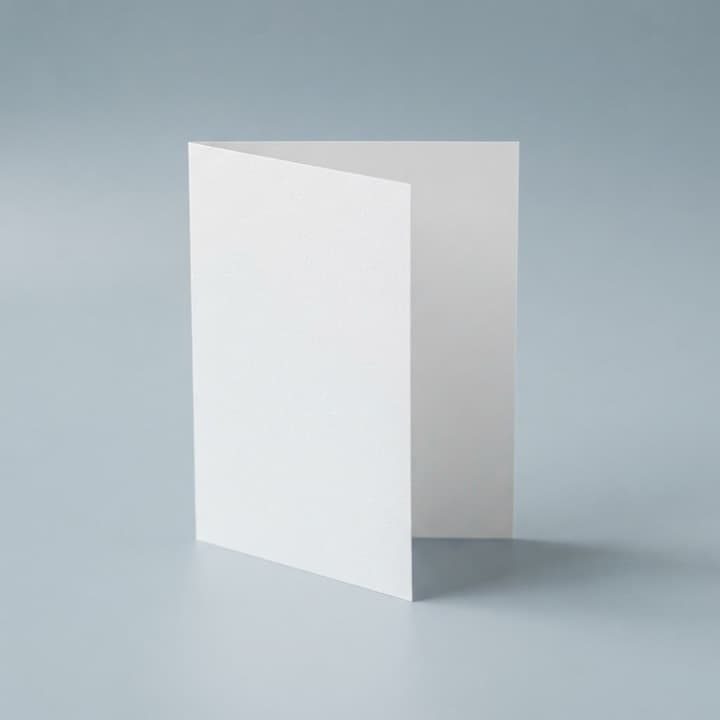 Tarjeta impresa, imagen de referencia